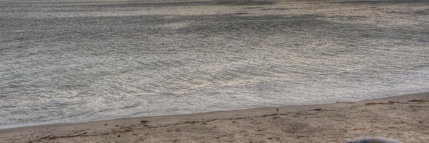 greytoday's profile banner image
