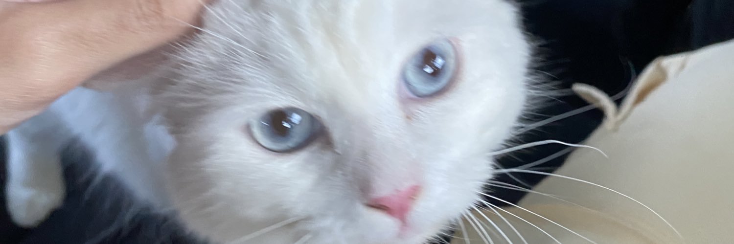 pongcypie's profile banner image