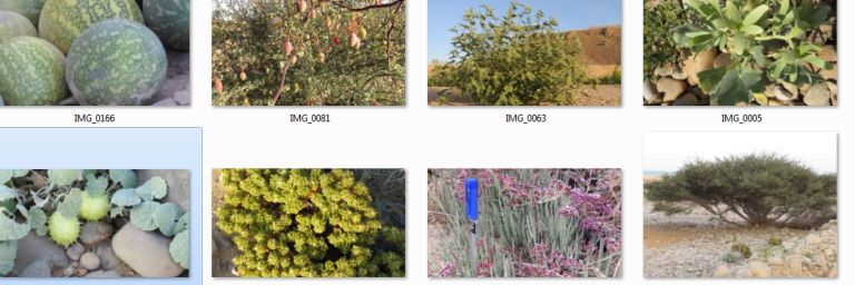 ابوعمران - حضرموت banner