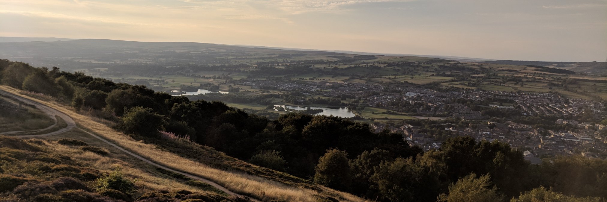 Robert Collin banner