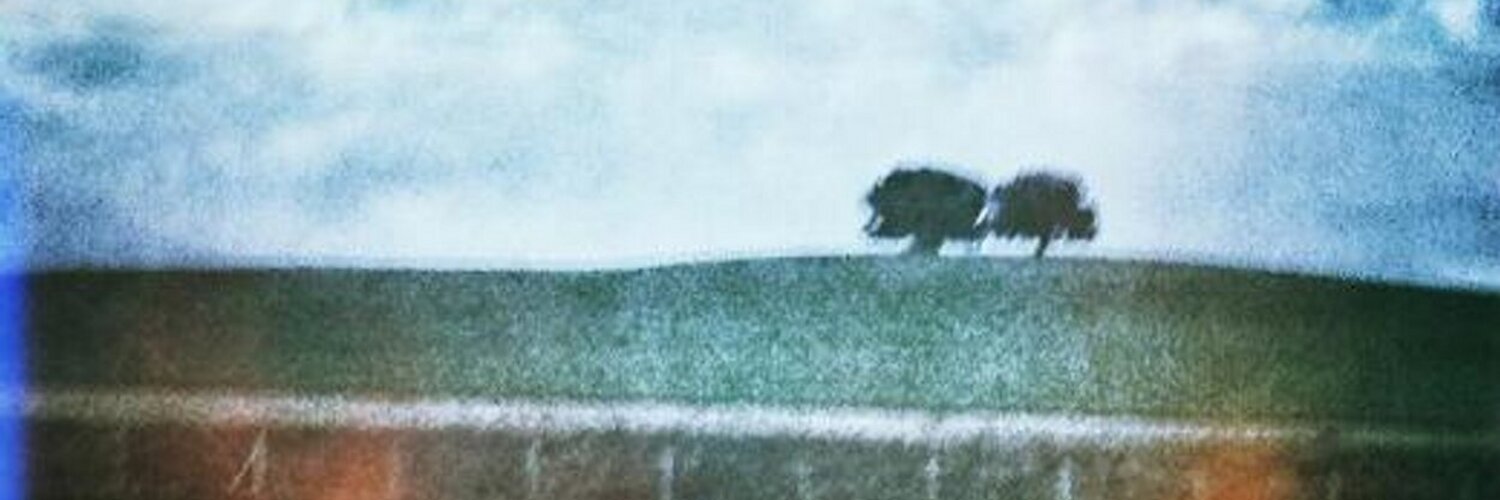 DigitalBourne's profile banner image