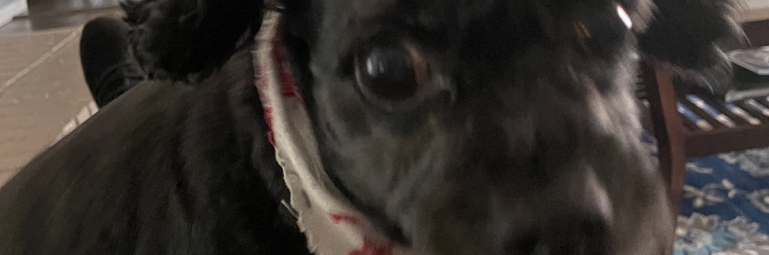 Elvis Grbac Fan Club banner