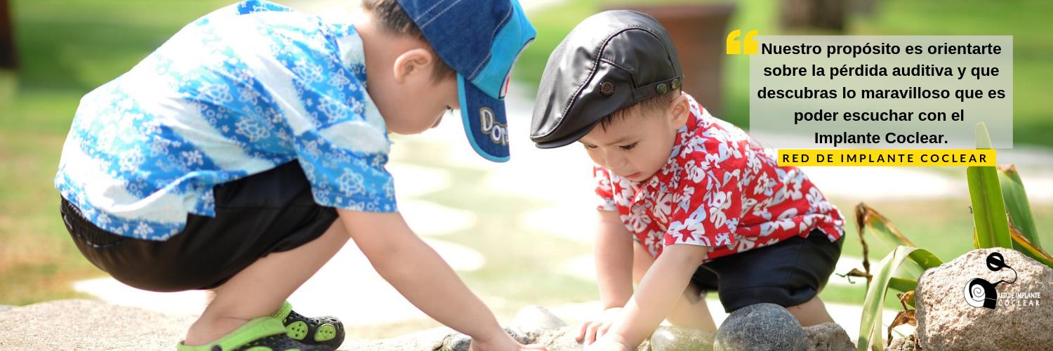RED IMPLANTE COCLEAR banner