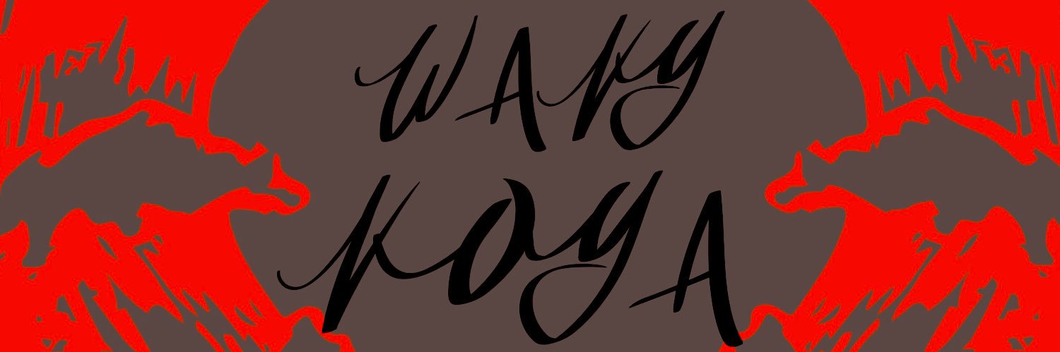 wavyvoya's profile banner image