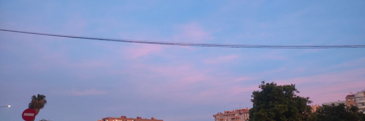 Merry 🌸🪩 banner