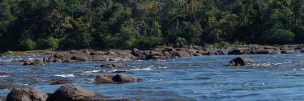 Mauro Nalesso banner