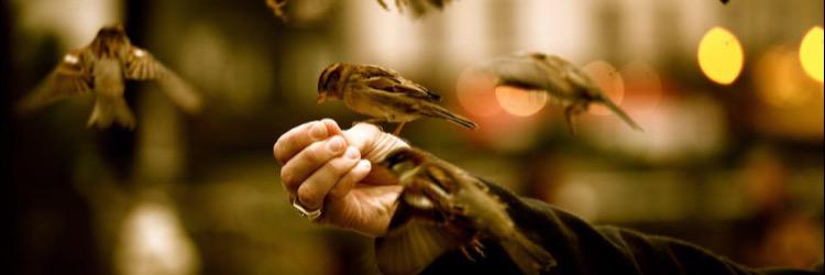 MASHAELALOUDAH's profile banner image