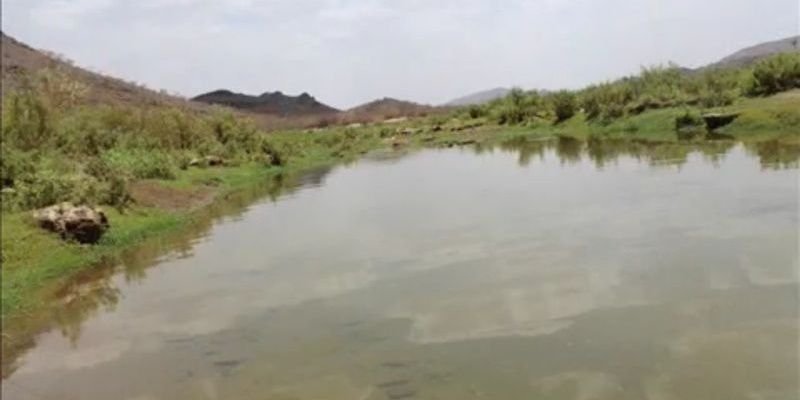almtfal347's profile banner image