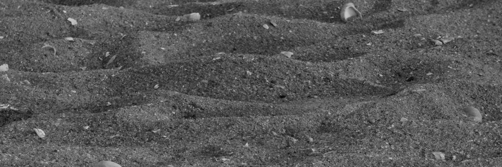 newhavenite's profile banner image