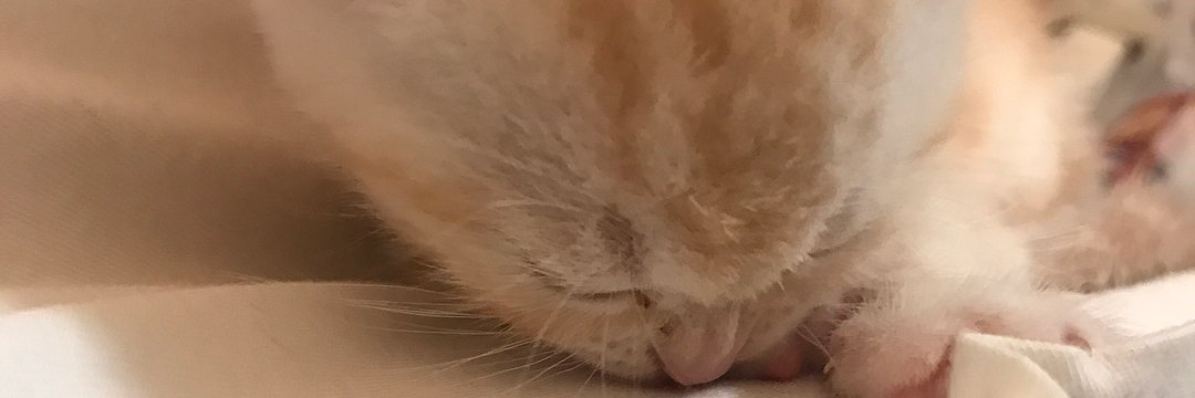 epyanlove's profile banner image