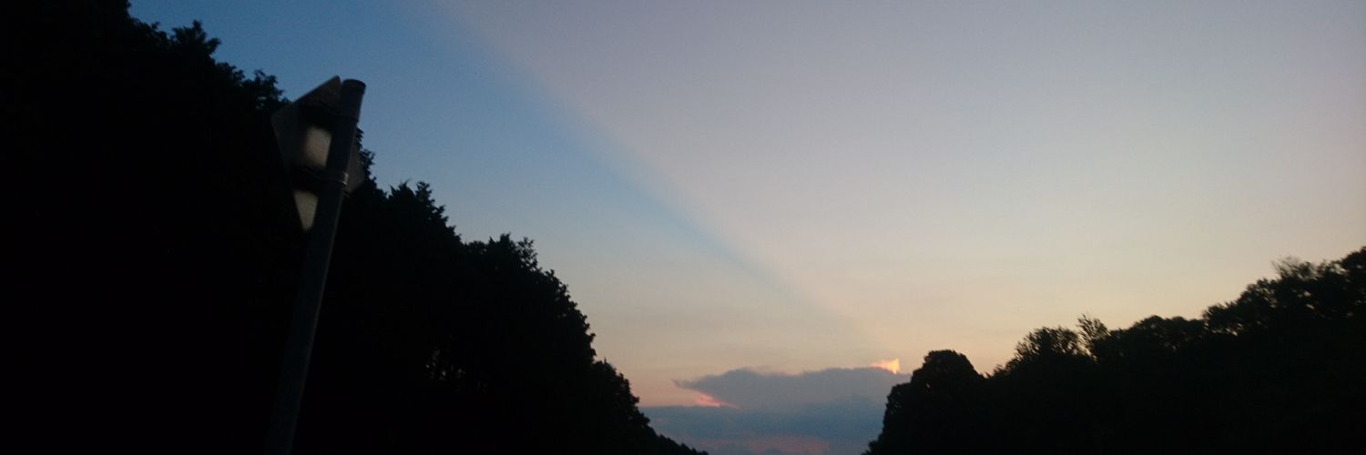 ででりこ banner