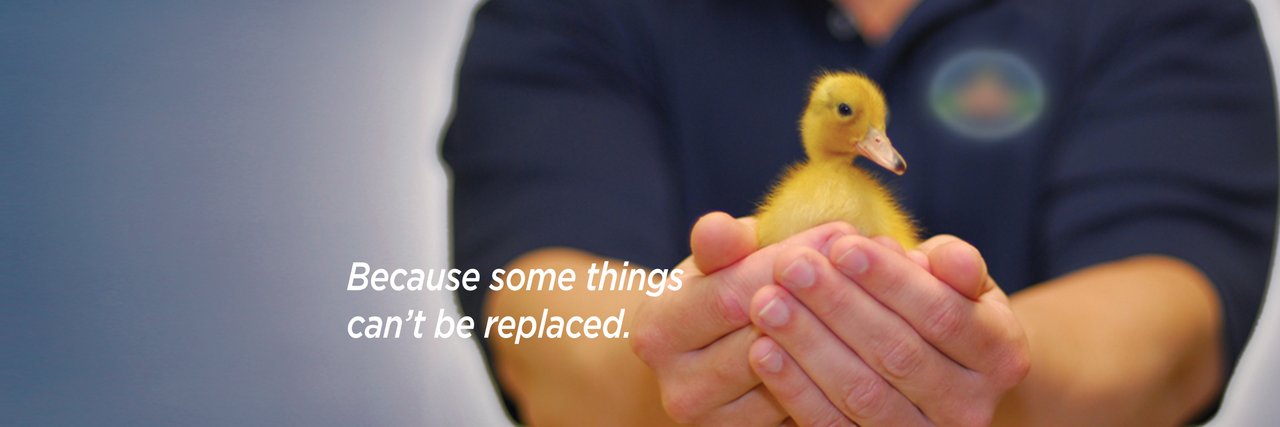 DelicateMoving banner