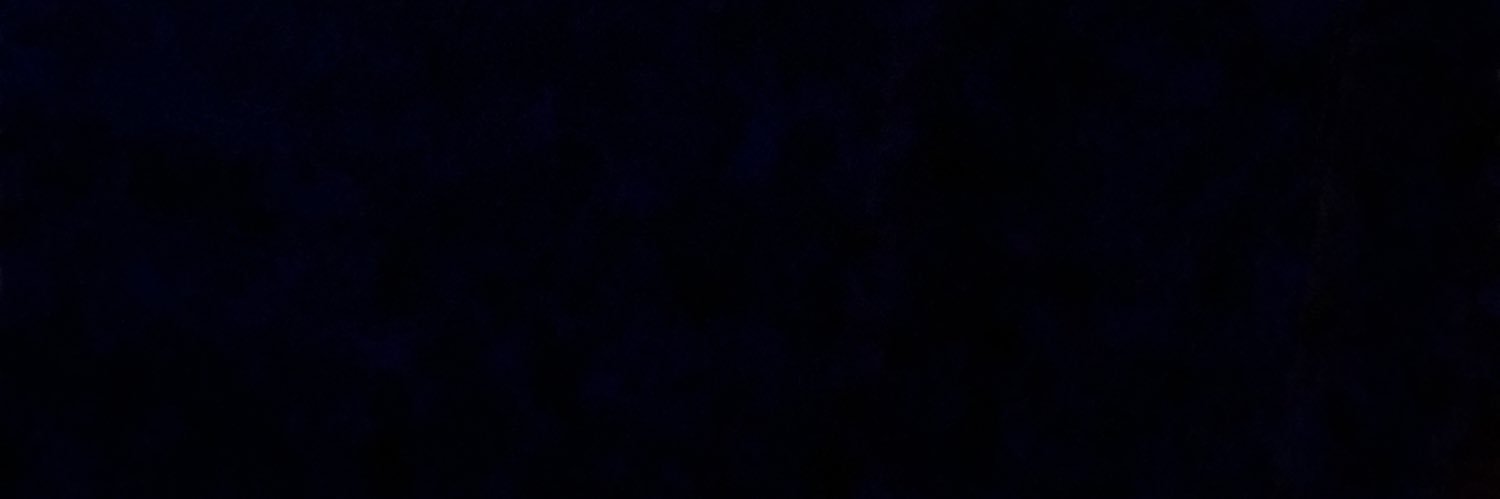 tehoro's profile banner image