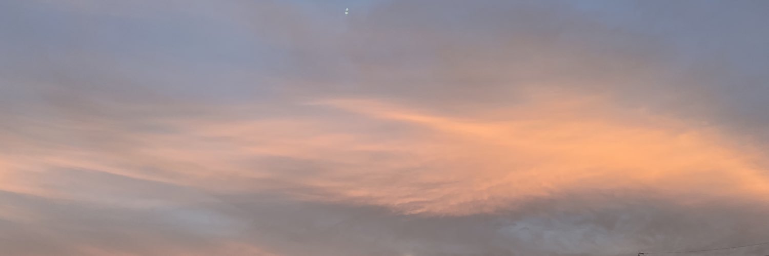 rukermit's profile banner image