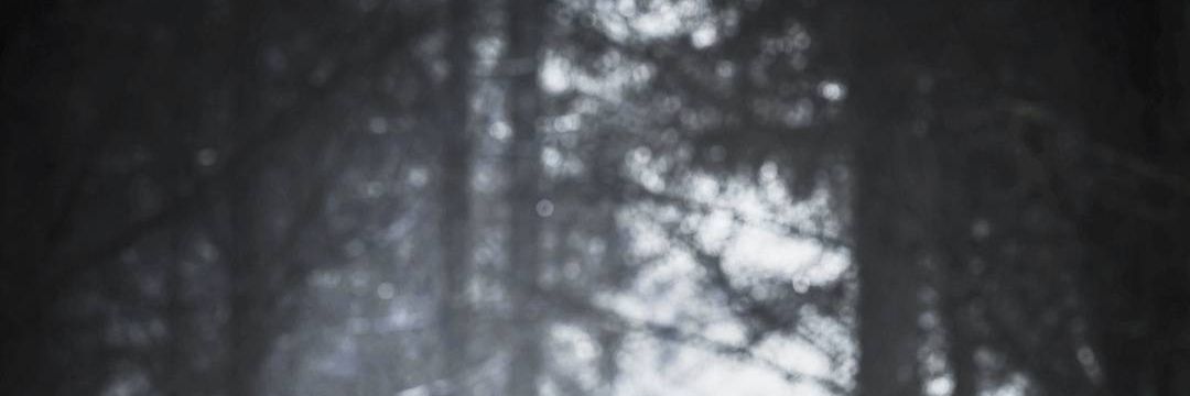 ✗Cesar.✗ banner