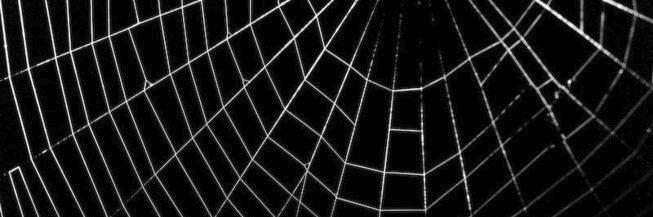 lolotehe's profile banner image