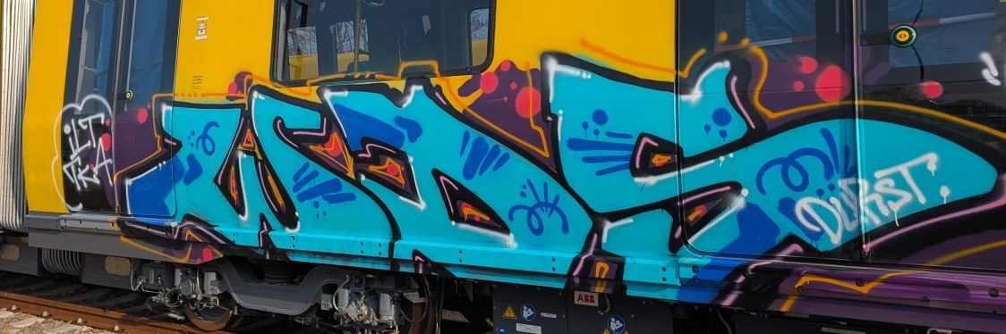 MilanLarsen's profile banner image