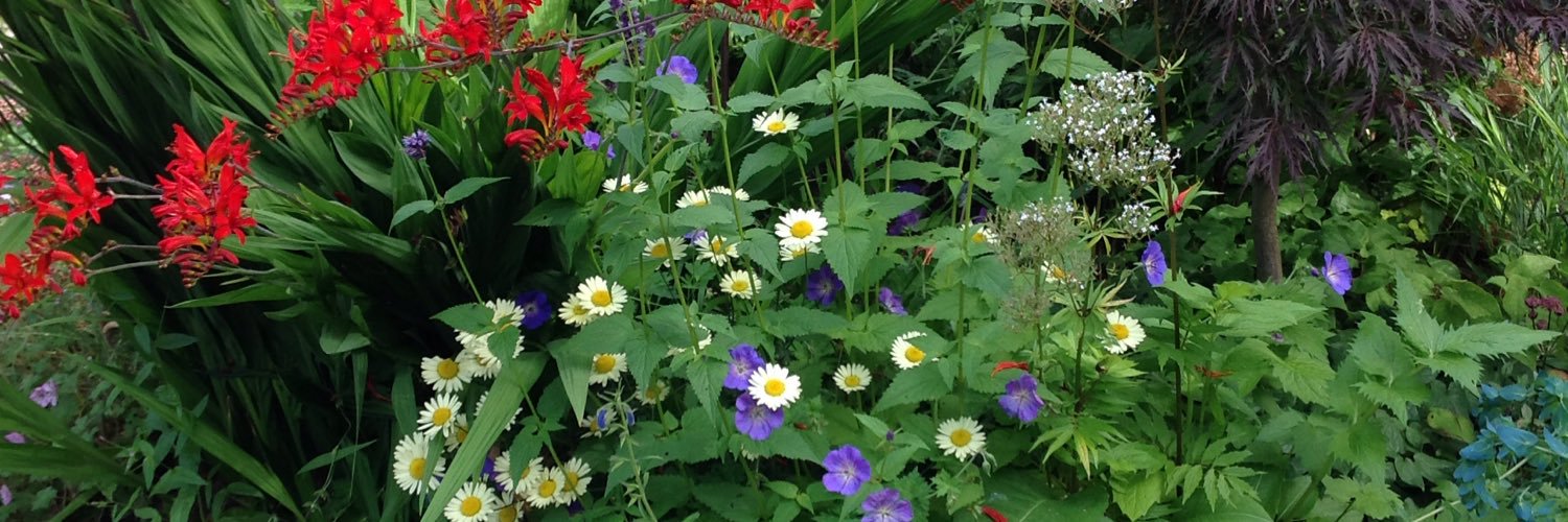 JanetsNewHouse's profile banner image