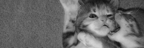 _deeebs_'s profile banner image