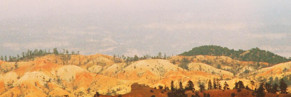 oldabrambrown's profile banner image