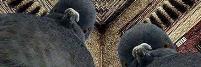 Results May Vary ⚠️ banner