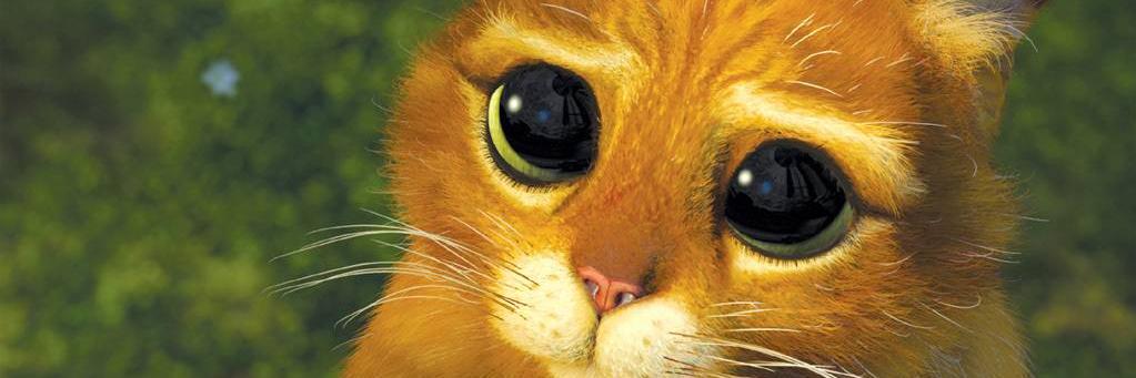 SunshineVirus's profile banner image