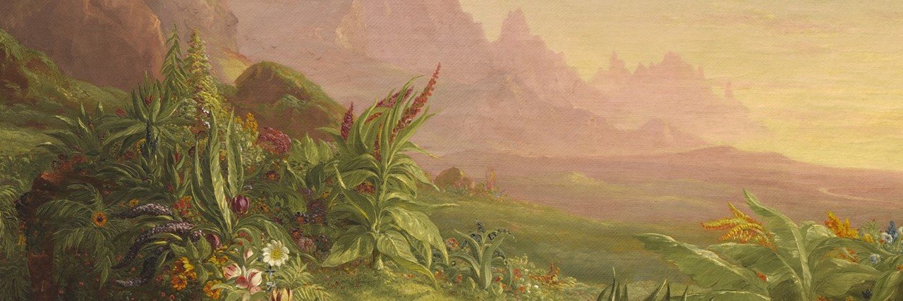 Benjamin Solomon banner