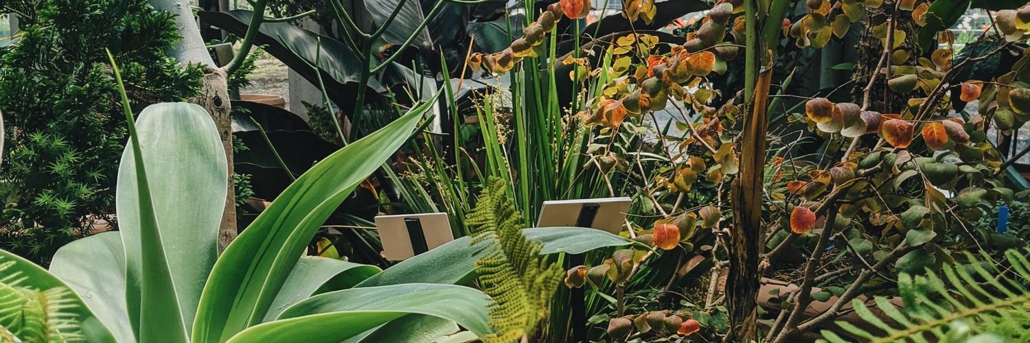 borpo_'s profile banner image