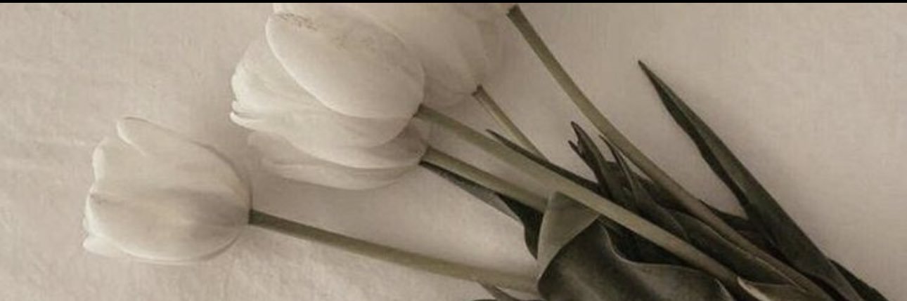 GuzmanCait's profile banner image