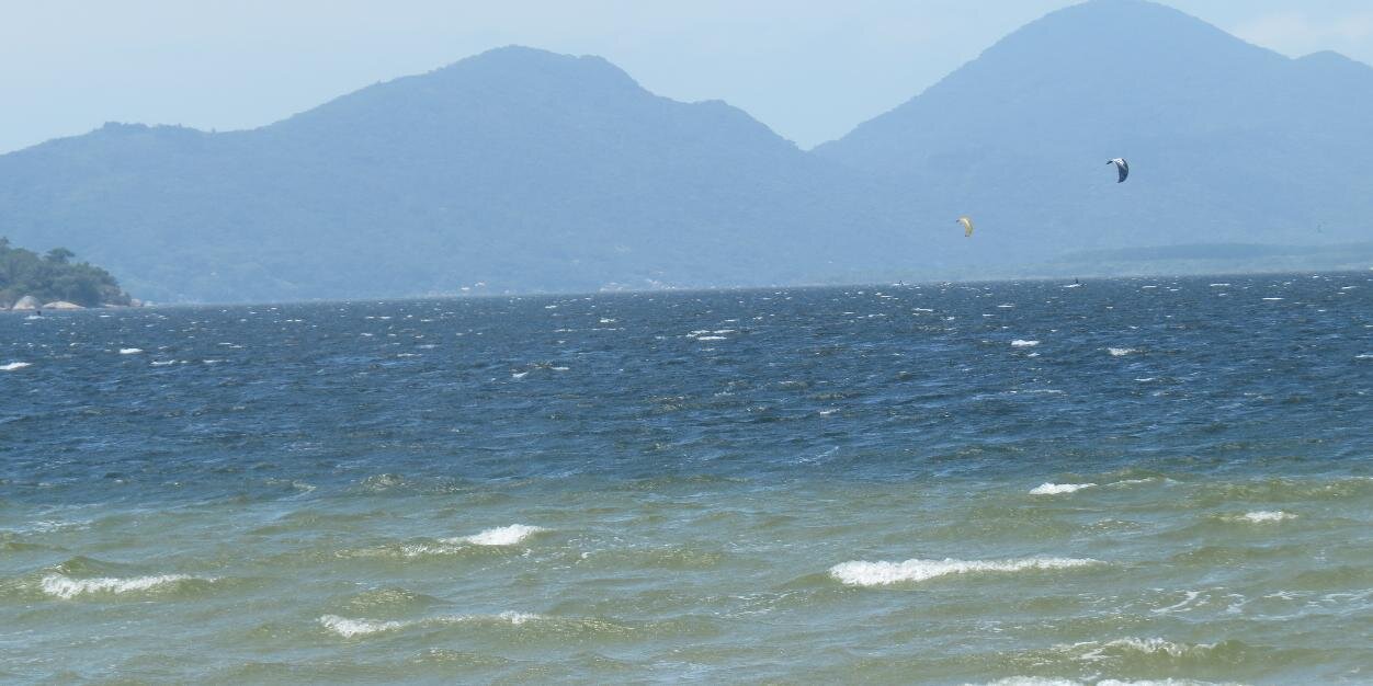 Júlia Cardoso banner