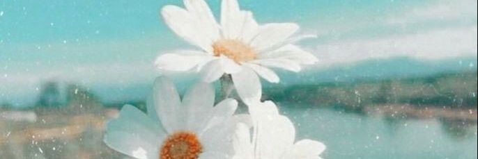 MarineMaudoux's profile banner image