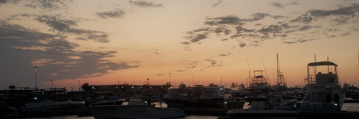 Janledroxa's profile banner image