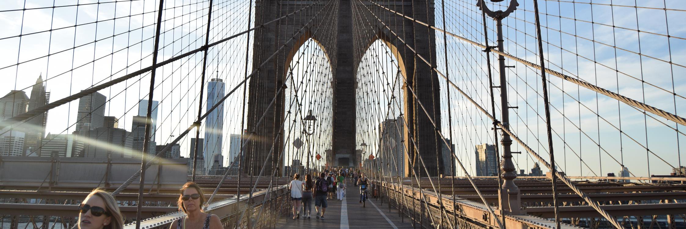 giacomo pittori banner