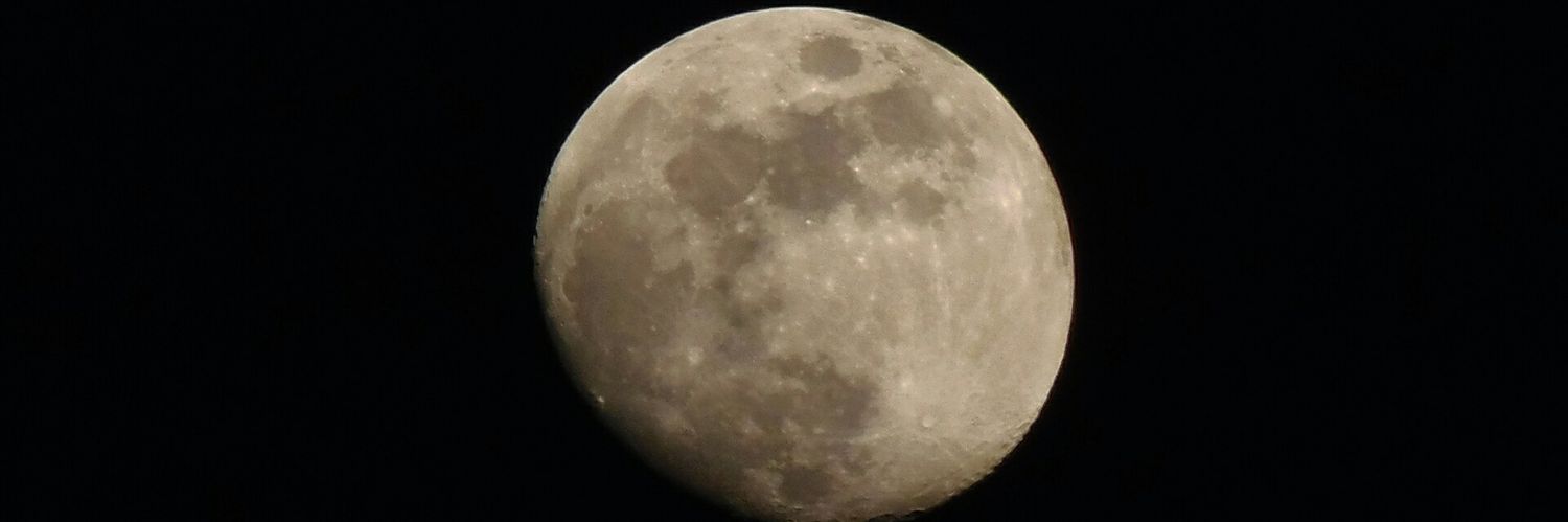 Sheppard27120's profile banner image