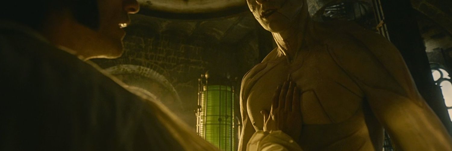 Tαɴια🐈‍⬛ banner