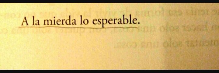 Raquel banner