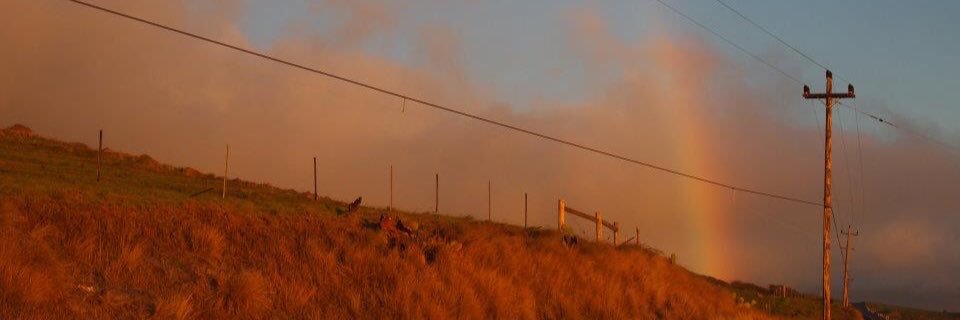 m1ch2nt's profile banner image