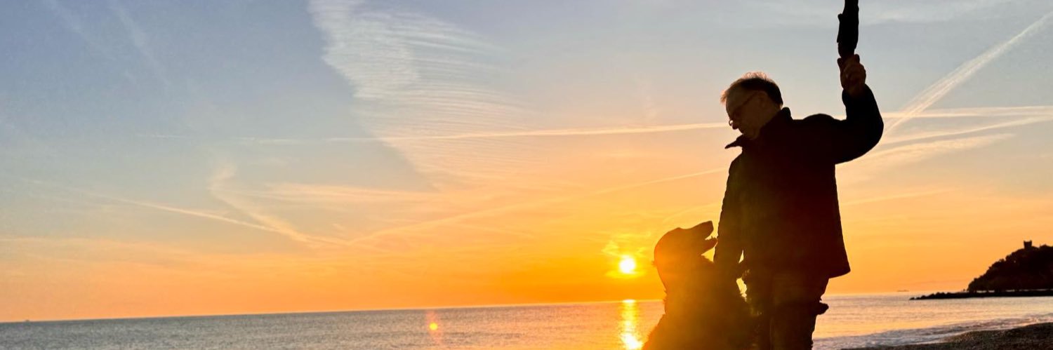 benedettimau's profile banner image