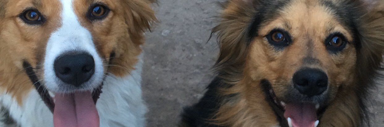 valentinafaes's profile banner image