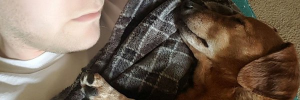 JesseTowler Profile Banner