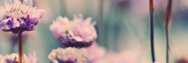 missasta_'s profile banner image