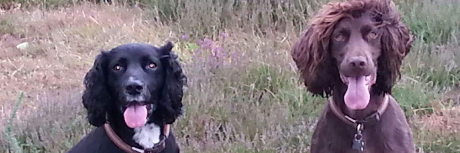 joannefjudd's profile banner image