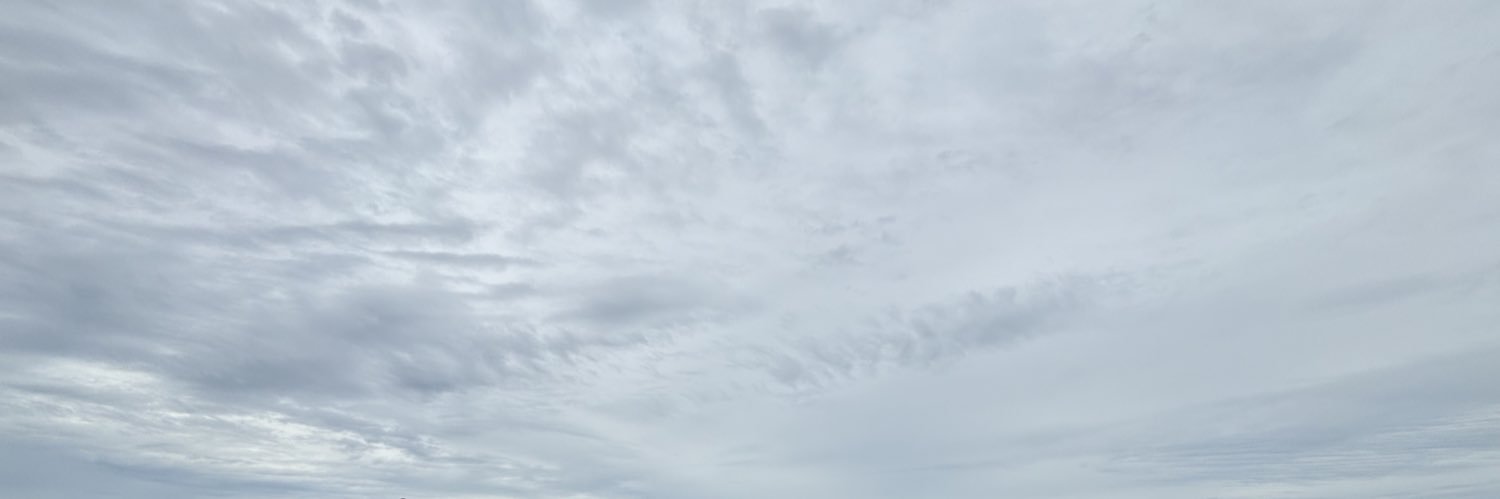 Emihoneybee's profile banner image