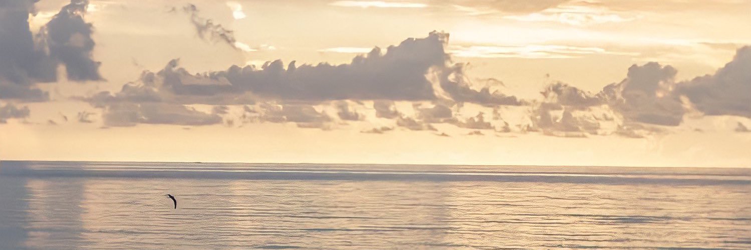 0lilkitten's profile banner image