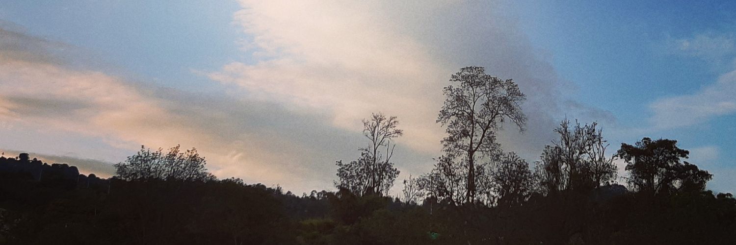 luis martínez banner