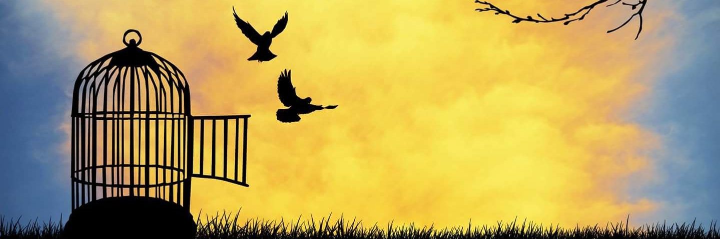 vivifer221's profile banner image