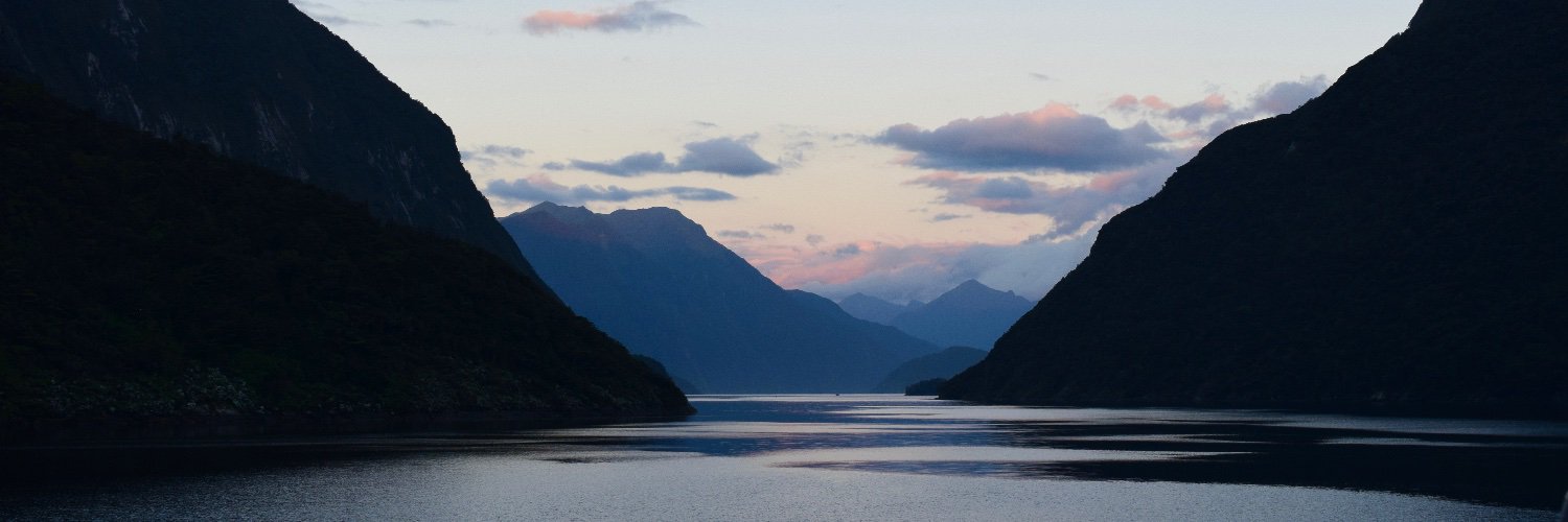 Holly Burrows banner