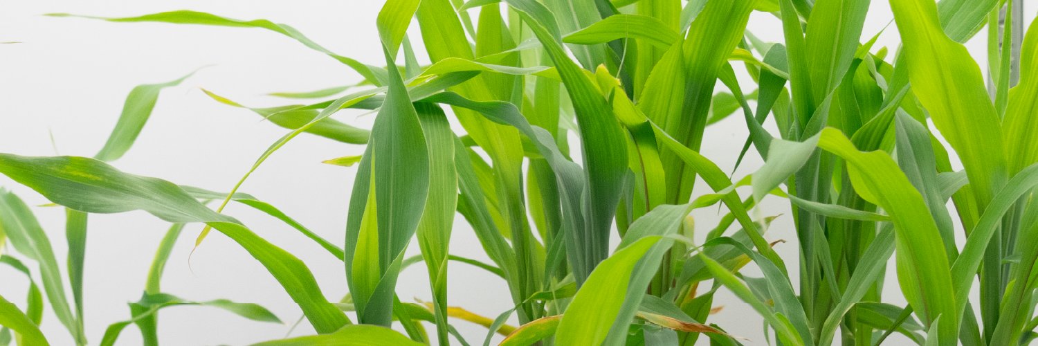 Boyce Thompson Inst banner