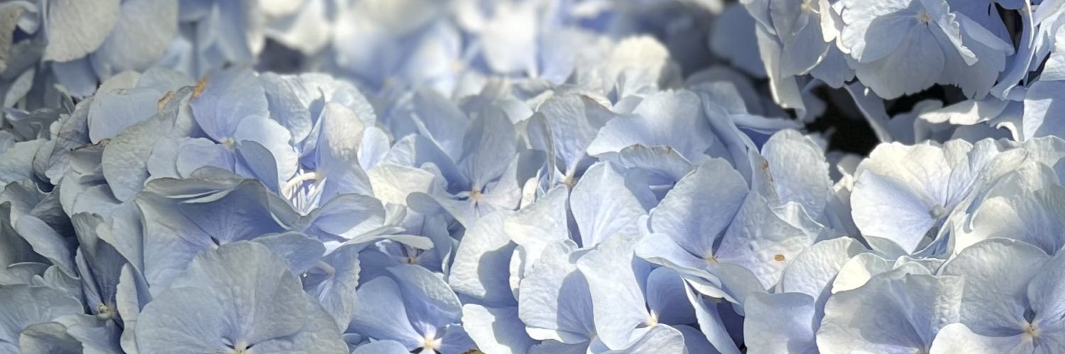 Lulwah Almajed💎 banner