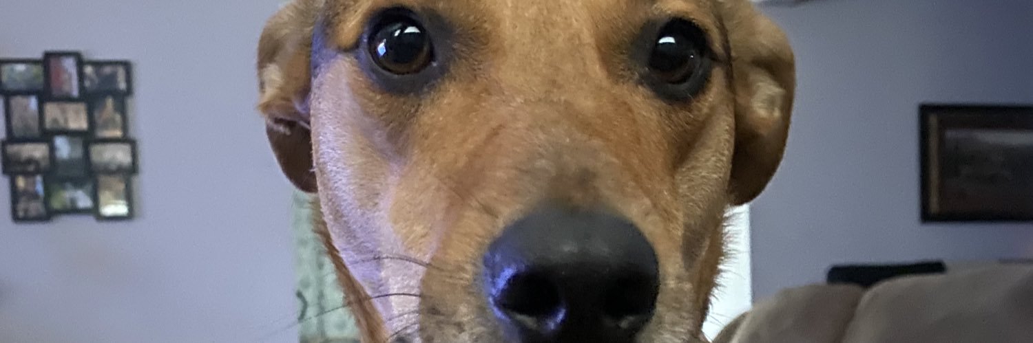 DBekel's profile banner image
